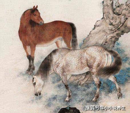 今期狗猴龙出特,四不两立长恨丽代表是指什么生肖全面释义、实证解答解释落实