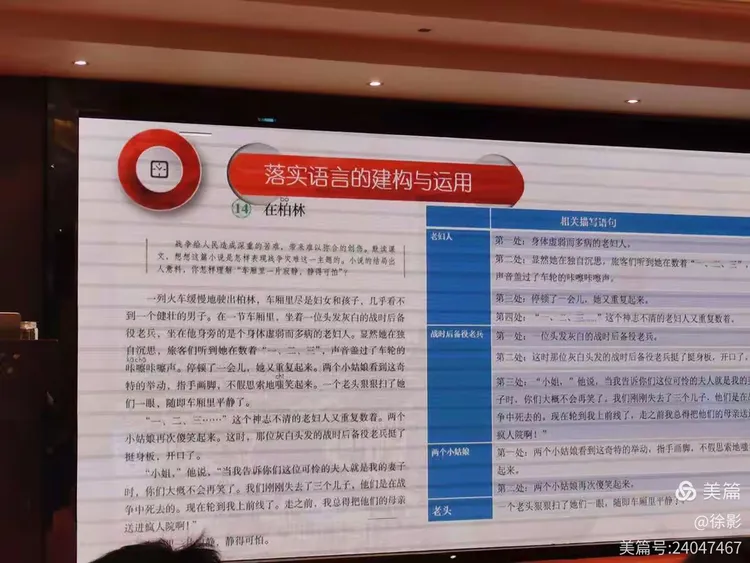 今期特码大林木 生肖头上有红波打一生肖仔细释义、解释与落实、前沿解答解释落实
