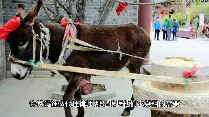 卸磨杀驴打一正确生肖,警惕虚假宣传、全面解答、综合解答解释落实