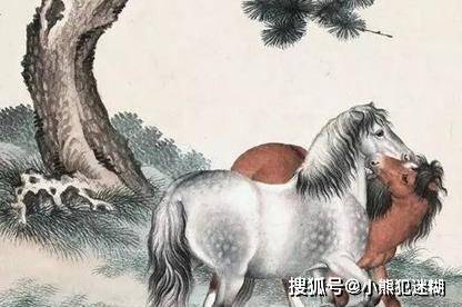 今期狗猴龙出特,四不两立长恨丽代表是指什么生肖全面释义、实证解答解释落实